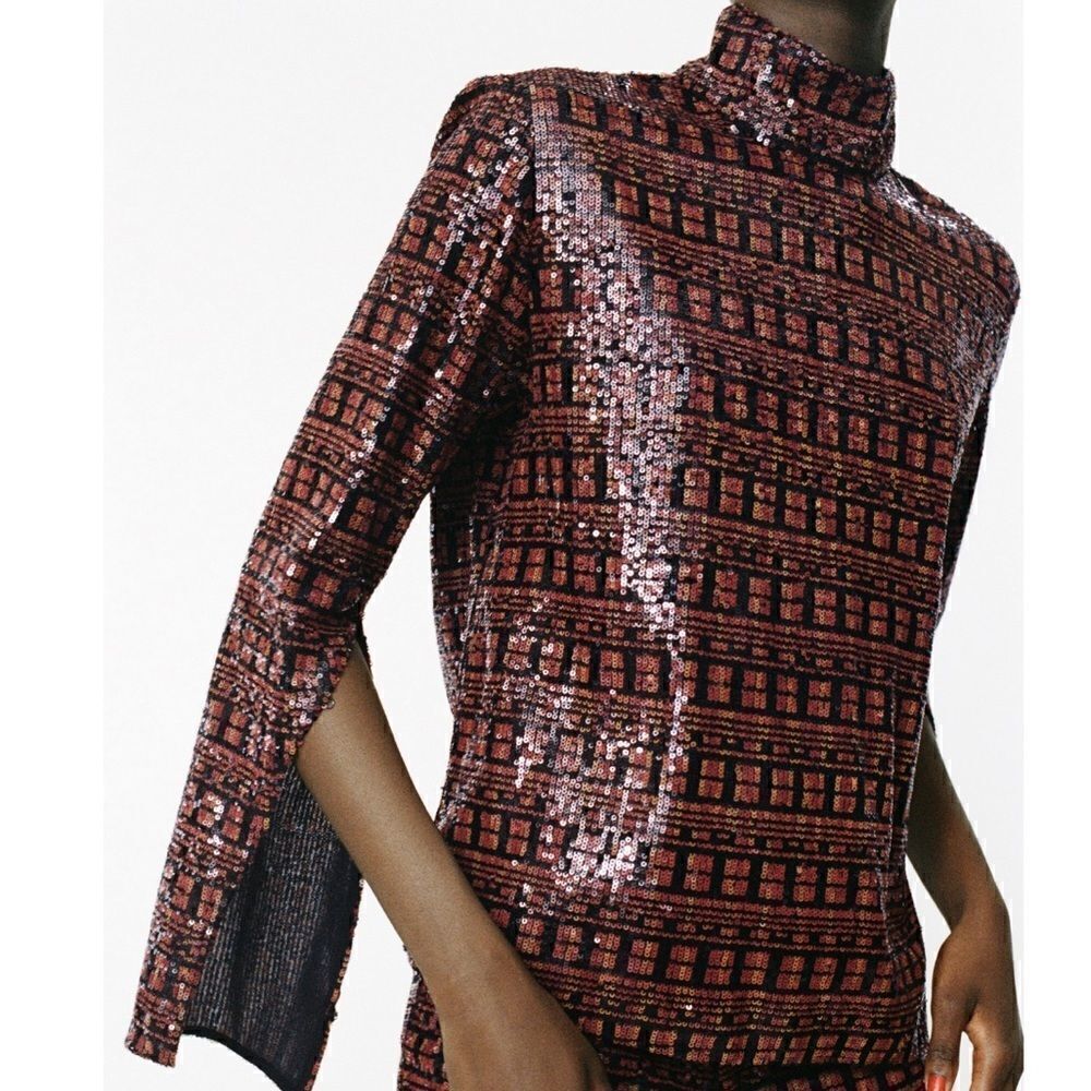 NWT Zara Sequin Top  